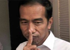 jokowi pulang kampung mudik