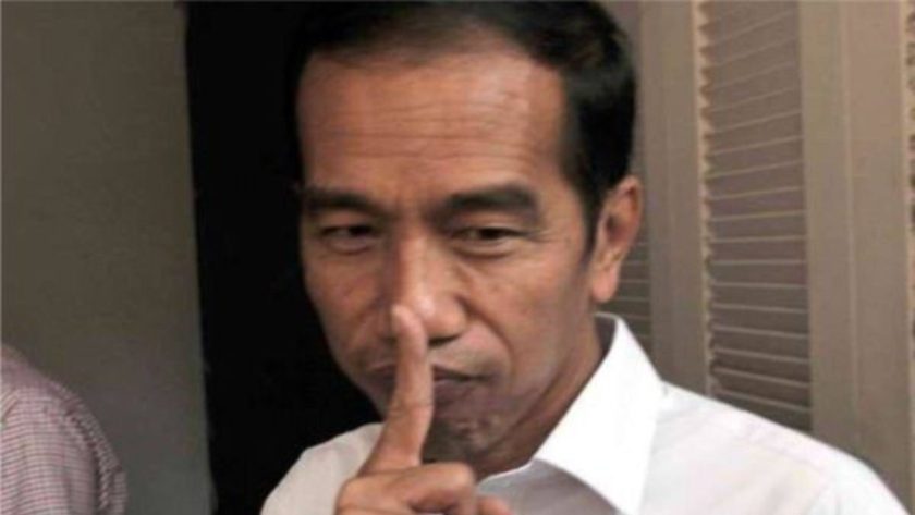 jokowi pulang kampung mudik