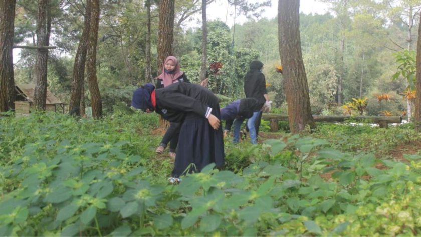 sumbersuko forest park