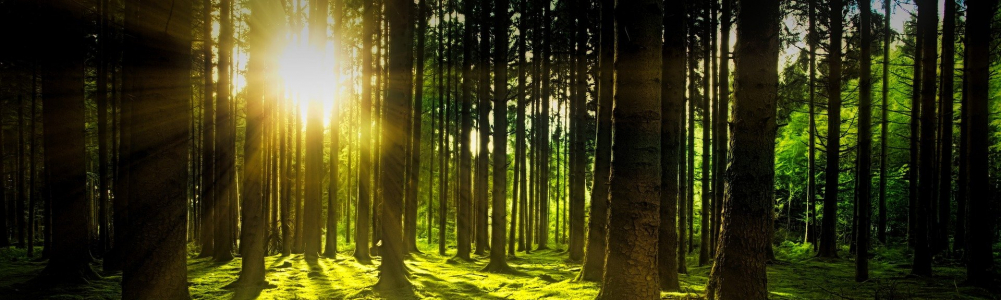 Gambar banner pengguna