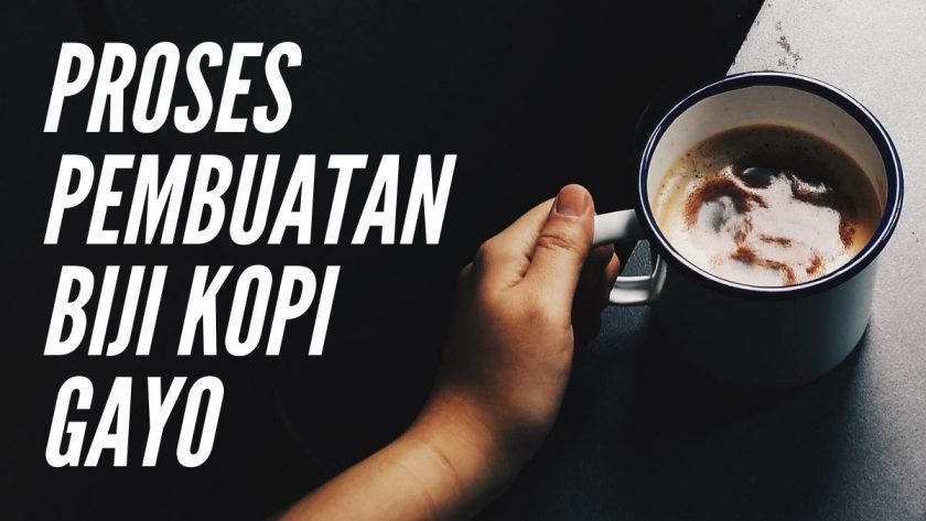 proses pengolahan biji kopi gayo