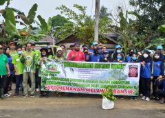Yayasan SMR