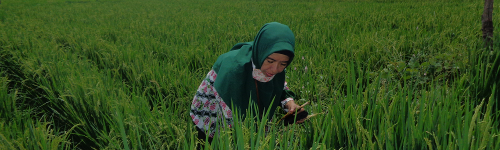 Gambar banner pengguna