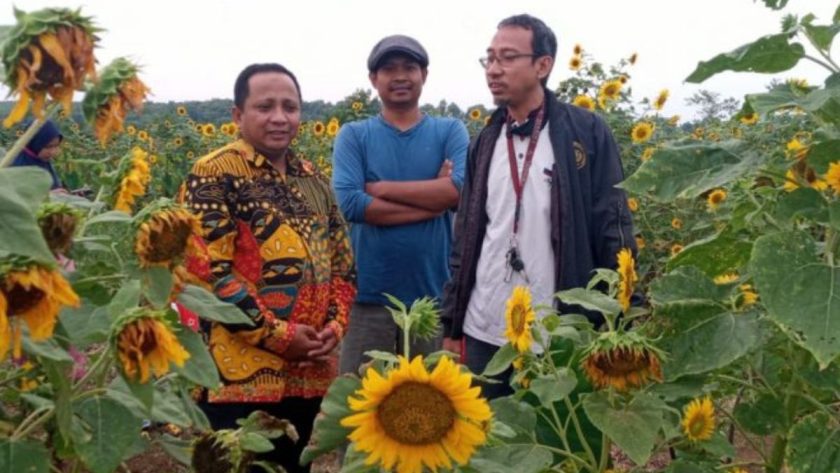 Bunga Banjar Sekar