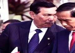luhut jokowi