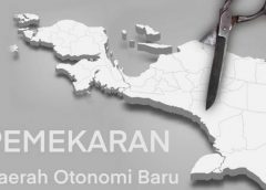 provinsi baru