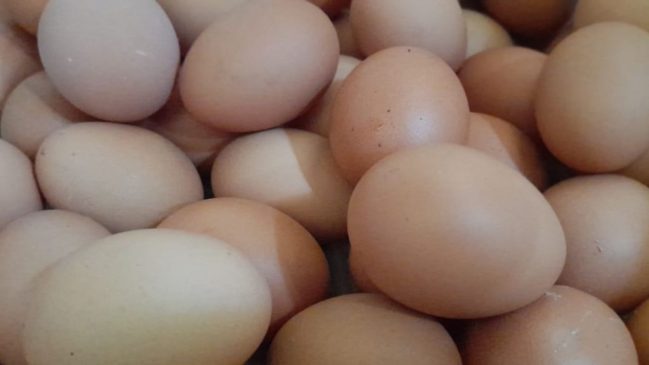 Mudah Didapat, 5 Makanan Tinggi Protein Hewani Pencegah Stunting
