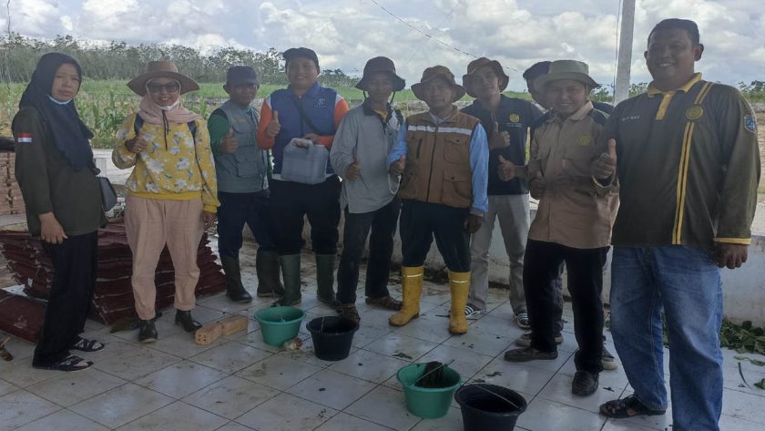 ppep oku timur