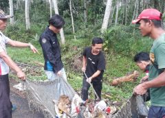 aksi pungut sampah