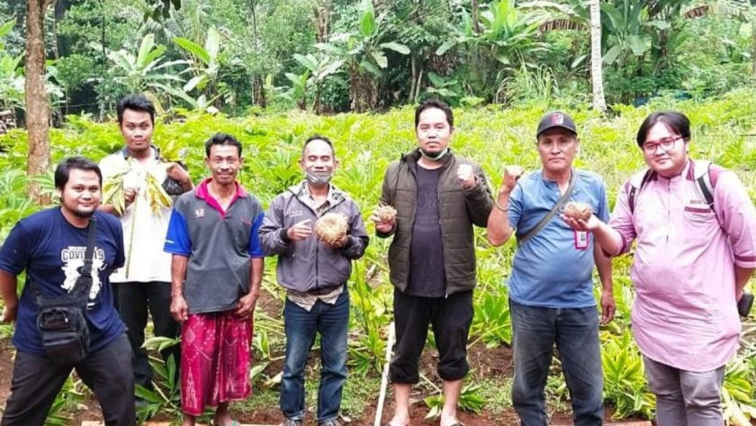 petani porang pandeglang