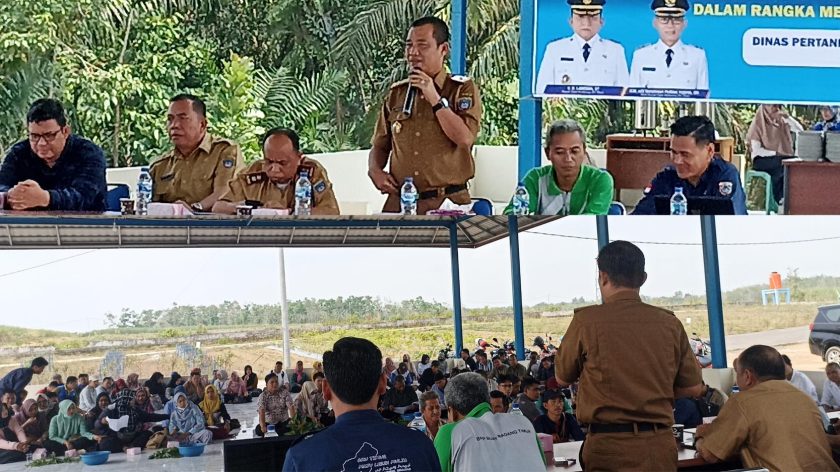 Pelatihan Tematik Dipertan OKUT