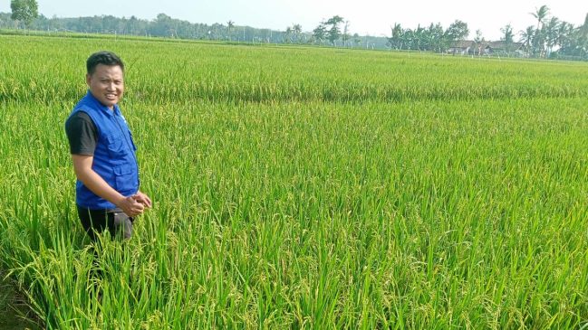 Dari Penyuluh Pertanian untuk Indonesia Mandiri Pangan Berdaulat