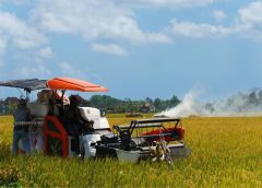 hari inovasi indonesia