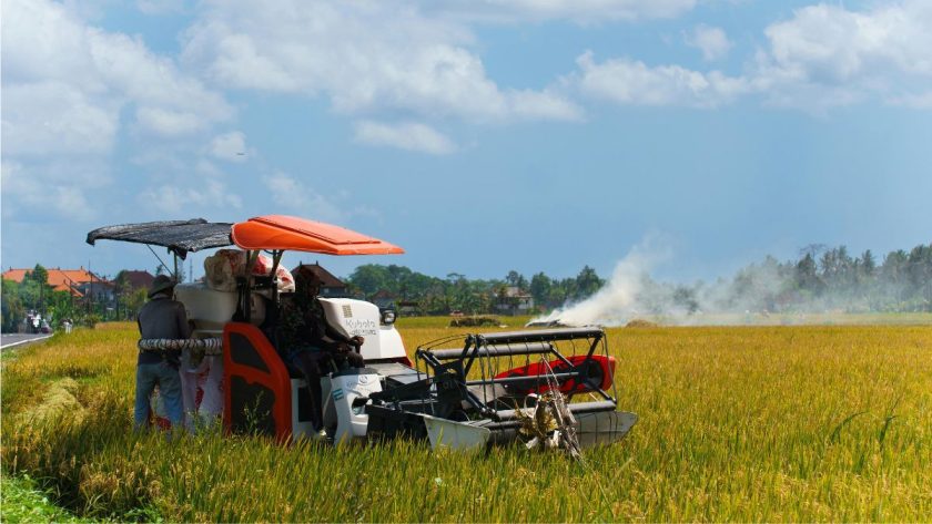 hari inovasi indonesia