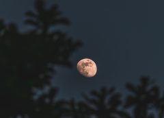 5 Fakta Menarik Hari Bulan Internasional Setiap 20 Juli