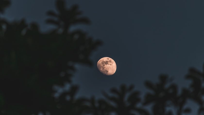 5 Fakta Menarik Hari Bulan Internasional Setiap 20 Juli
