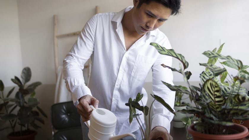 5 Macam Pupuk Organik, Bahan, dan Fungsinya